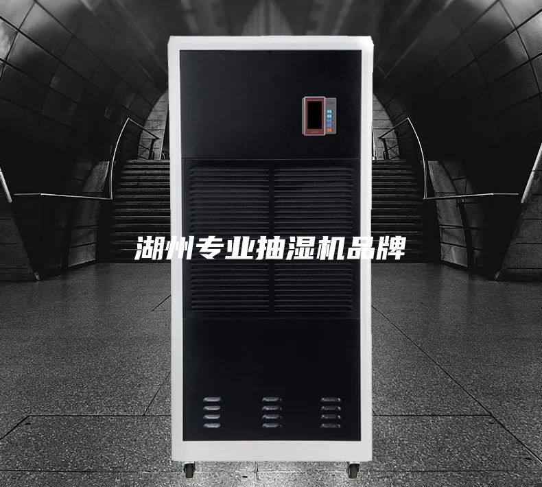 湖州專業(yè)抽濕機(jī)品牌