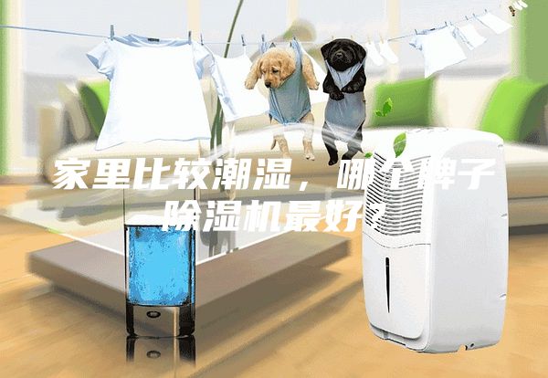 家里比較潮濕，哪個牌子除濕機最好？