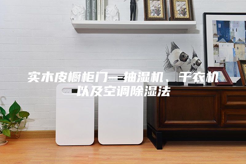 實木皮櫥柜門—抽濕機、干衣機以及空調(diào)除濕法