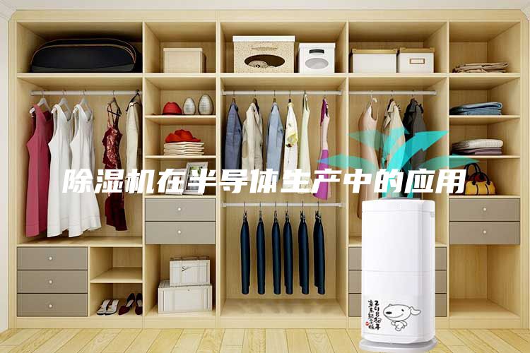 除濕機(jī)在半導(dǎo)體生產(chǎn)中的應(yīng)用