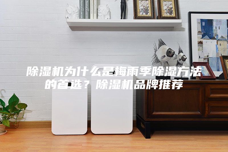 除濕機為什么是梅雨季除濕方法的首選？除濕機品牌推薦