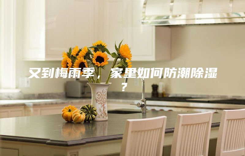 又到梅雨季,家里如何防潮除濕?