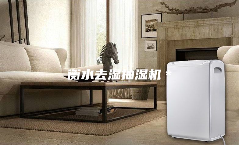衡水去濕抽濕機＊