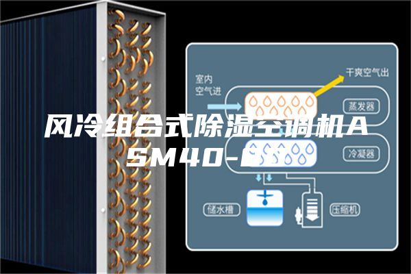 風(fēng)冷組合式除濕空調(diào)機ASM40-80