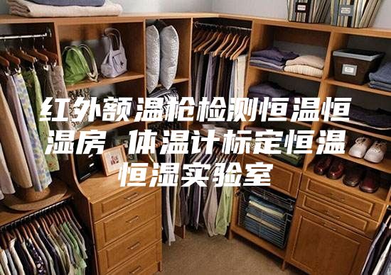 紅外額溫槍檢測恒溫恒濕房 體溫計標定恒溫恒濕實驗室