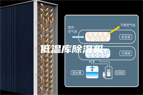 低溫庫除濕機