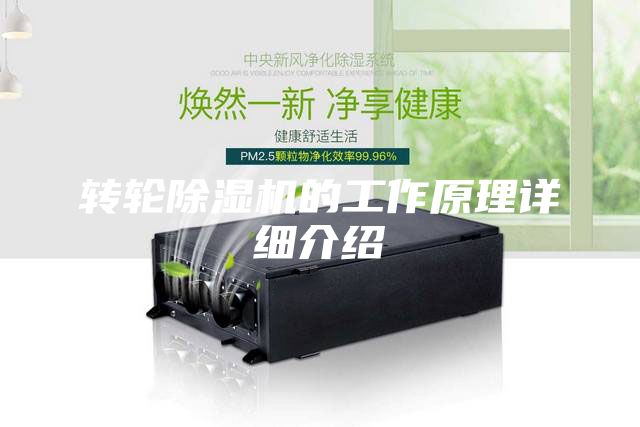 轉(zhuǎn)輪除濕機的工作原理詳細介紹