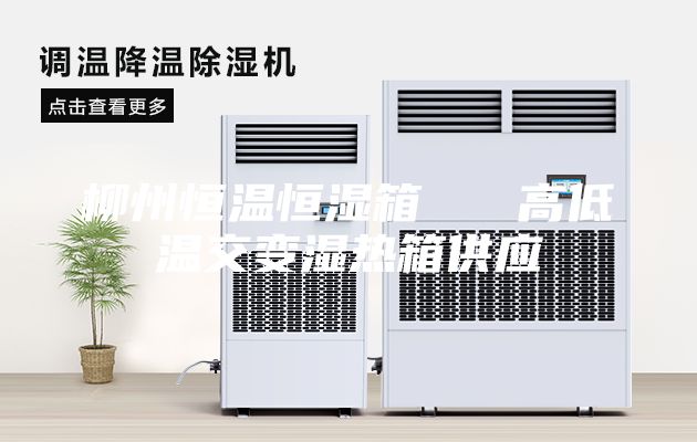 柳州恒溫恒濕箱 高低溫交變濕熱箱供應