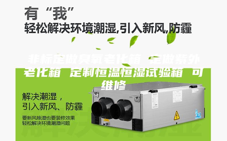 非標定做臭氧老化箱 定做紫外老化箱 定制恒溫恒濕試驗箱 可維修