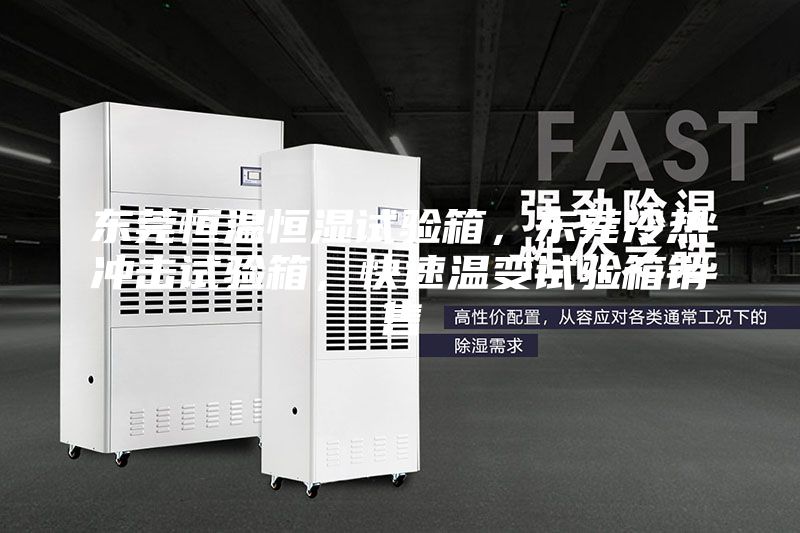 東莞恒溫恒濕試驗(yàn)箱，東莞冷熱沖擊試驗(yàn)箱，快速溫變?cè)囼?yàn)箱銷售