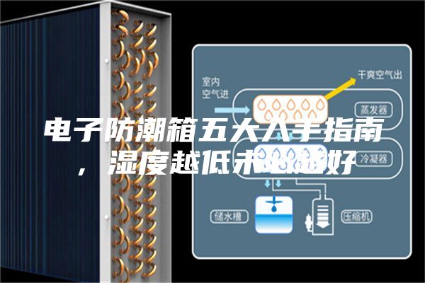 電子防潮箱五大入手指南，濕度越低未必越好