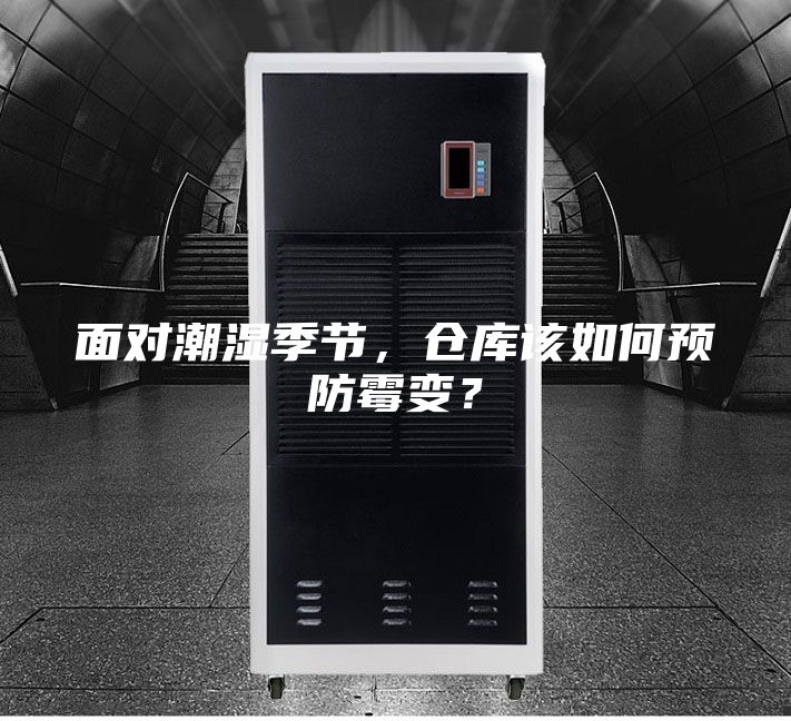 面對潮濕季節，倉庫該如何預防霉變？